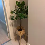 Cozy 2 Bedroom In The Heart Of The * טמפרה
