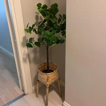 Cozy 2 Bedroom In The Heart Of The * Tampere